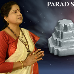 Astrologer in Malda